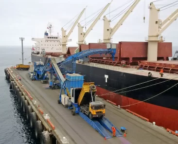 Portland cement