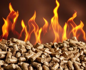 Pellet