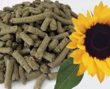 Sunflower Meal