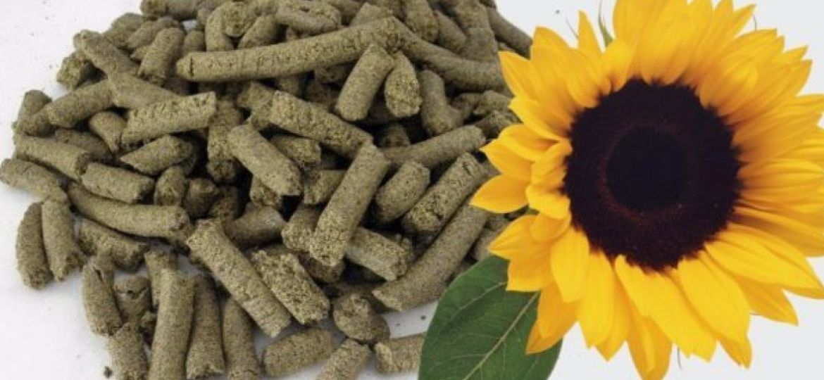 Sunflower Meal