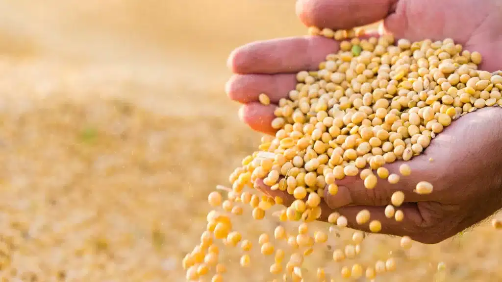 Agricultural Commodities