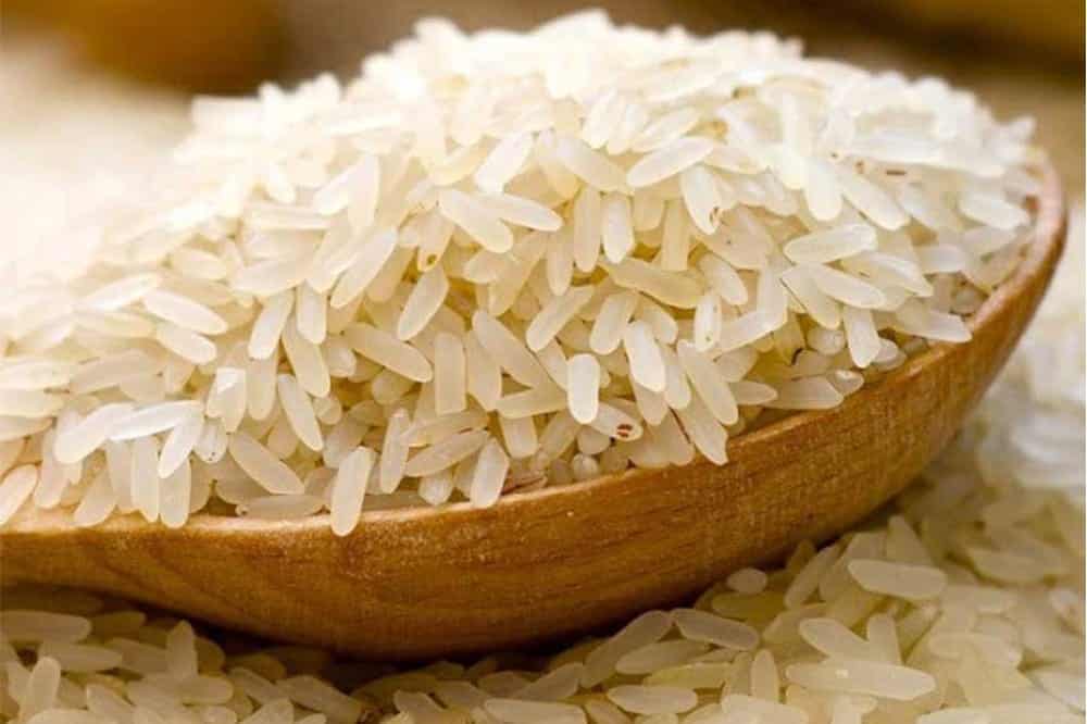 Rice 