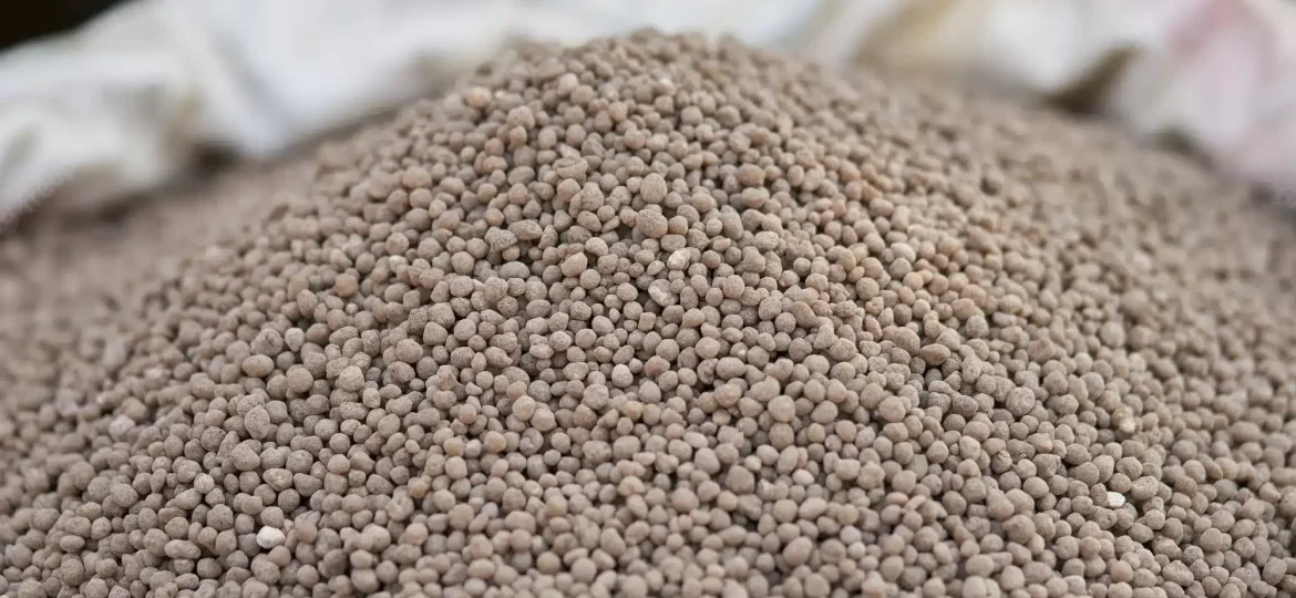 Diammonium Phosphate